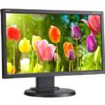 NEC Displays 20W LED BACKLIT LCD MONITOR AHIPS E203WBK